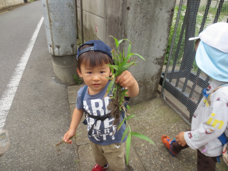 f:id:donkoro:20140904104200j:plain