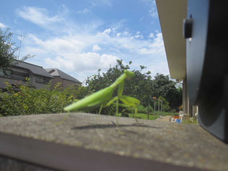 f:id:donkoro:20140905110158j:plain