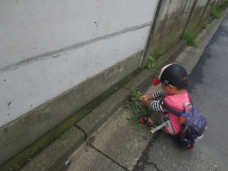 f:id:donkoro:20140909103402j:plain