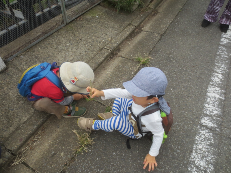 f:id:donkoro:20140910101557j:plain