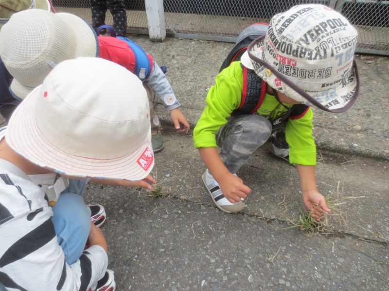 f:id:donkoro:20140910101738j:plain