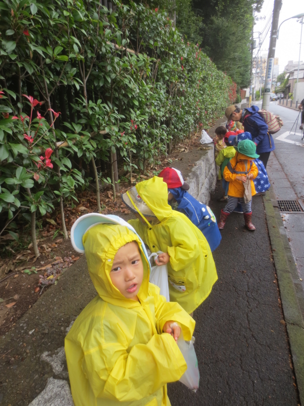 f:id:donkoro:20140925104639j:plain