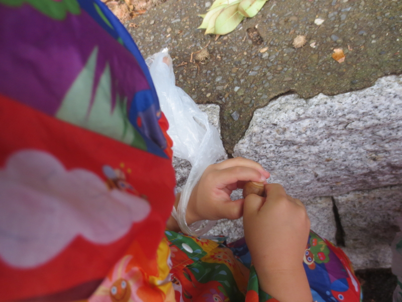 f:id:donkoro:20140925104941j:plain