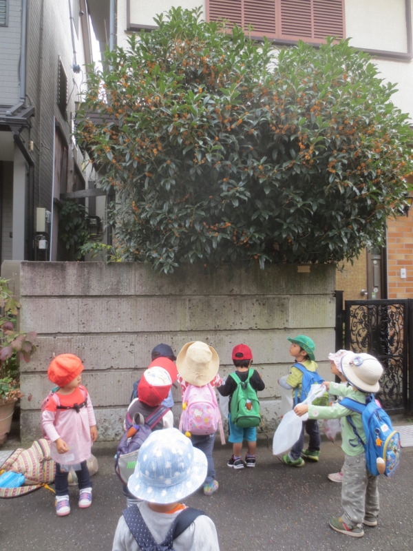 f:id:donkoro:20141002111315j:plain