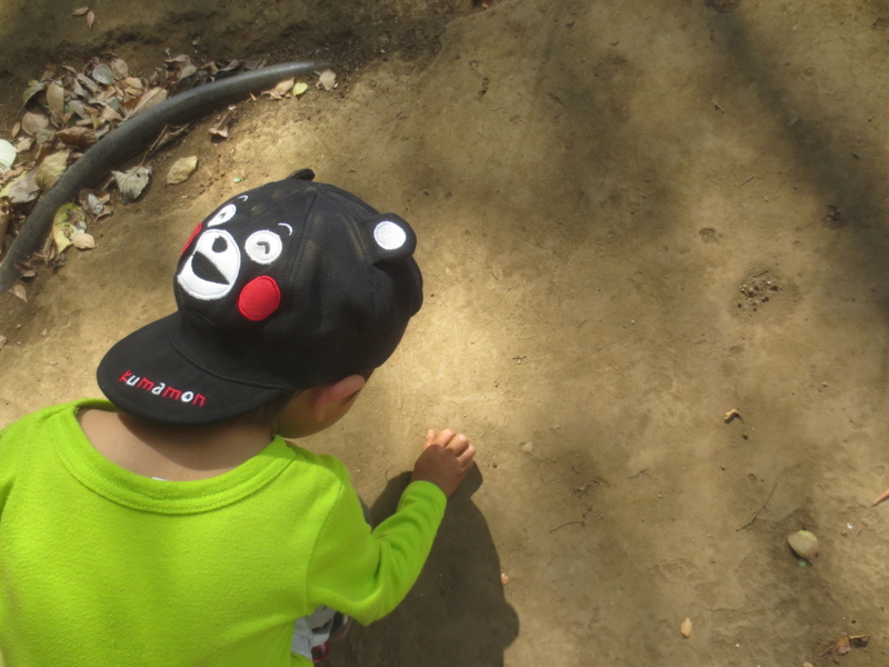 f:id:donkoro:20141003121443j:plain