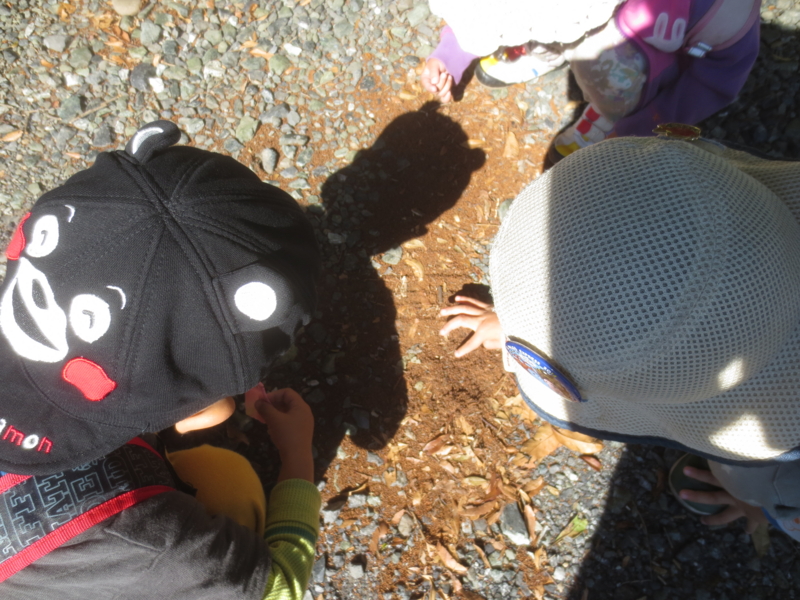 f:id:donkoro:20141017105935j:plain