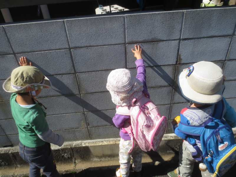 f:id:donkoro:20141017111923j:plain