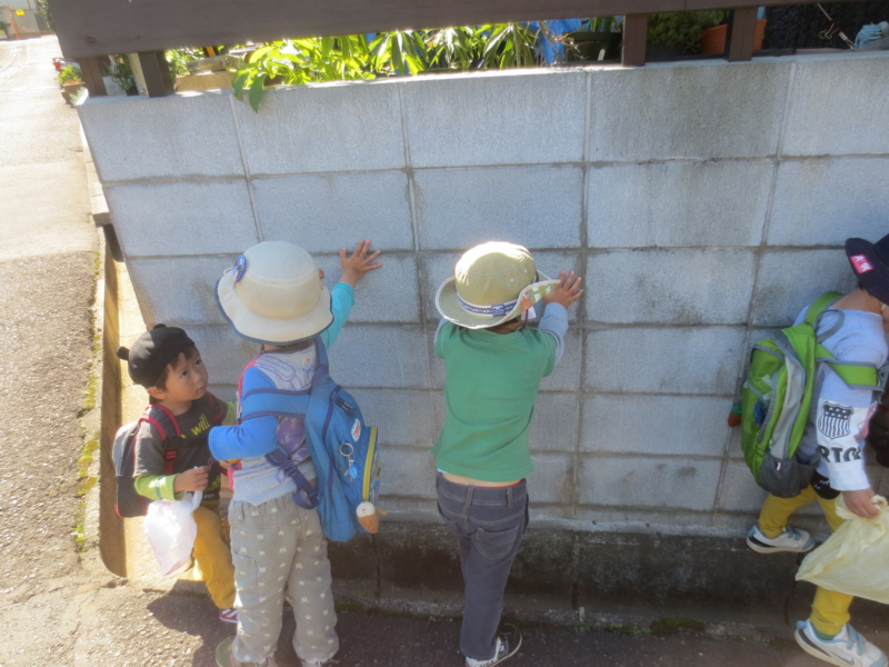 f:id:donkoro:20141017112206j:plain
