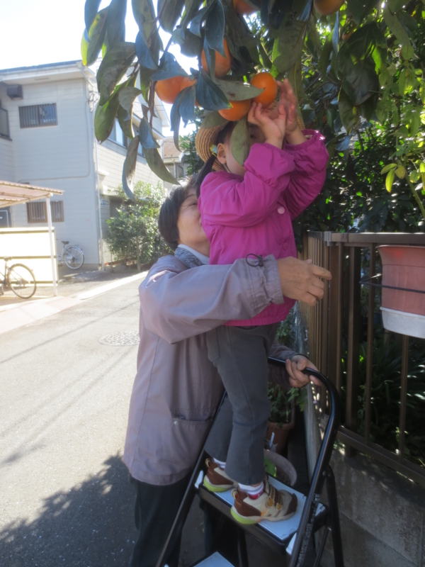 f:id:donkoro:20141104110702j:plain f:id:donkoro:20141104110702j:plain