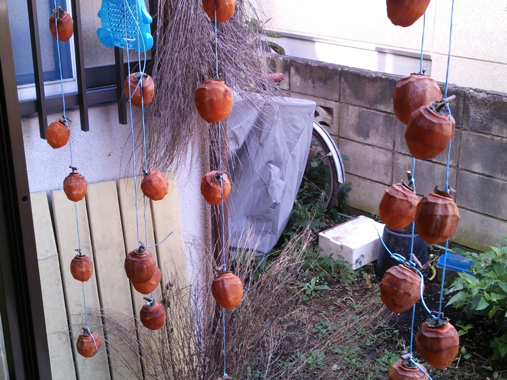 f:id:donkoro:20141113084454j:plain