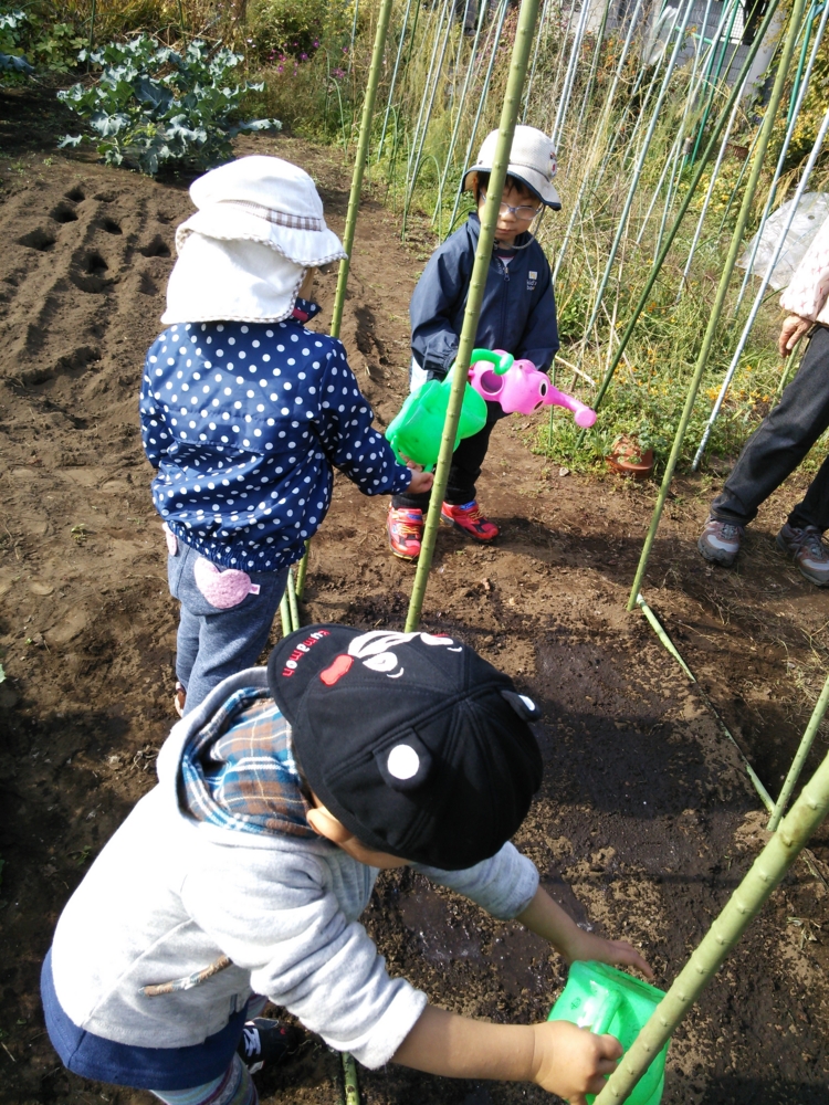 f:id:donkoro:20141117105805j:plain