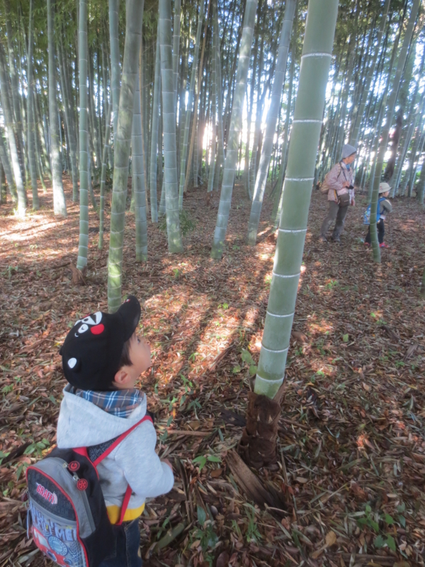 f:id:donkoro:20141121104048j:plain f:id:donkoro:20141121104048j:plain