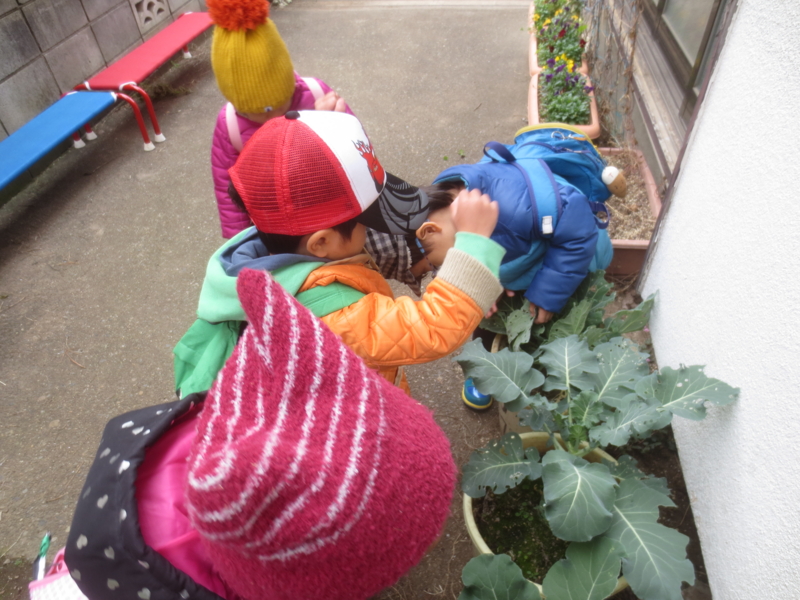f:id:donkoro:20141204102737j:plain
