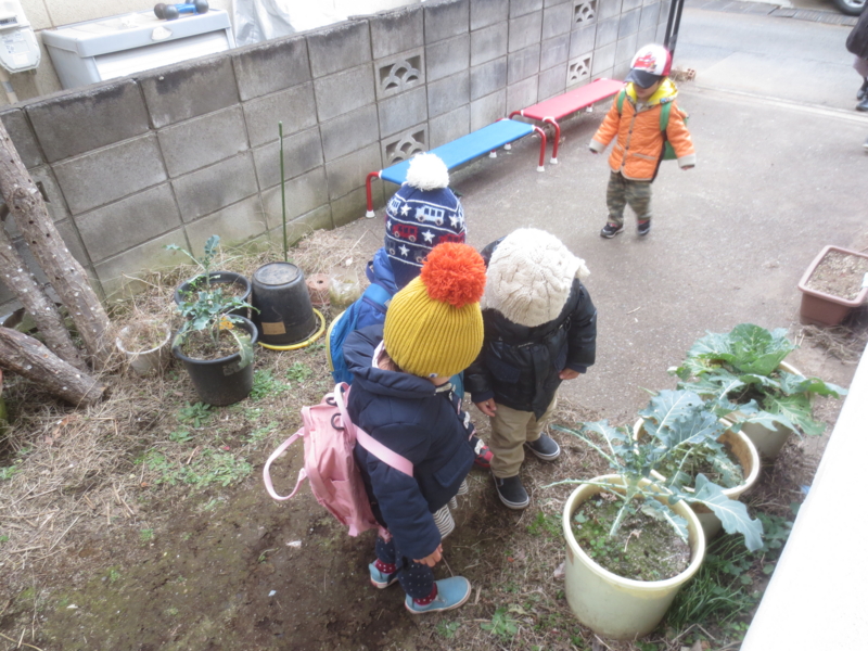 f:id:donkoro:20150106101628j:plain f:id:donkoro:20150106101628j:plain
