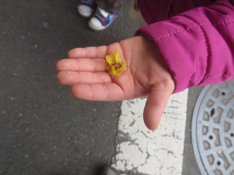 f:id:donkoro:20150107121736j:plain f:id:donkoro:20150107121736j:plain