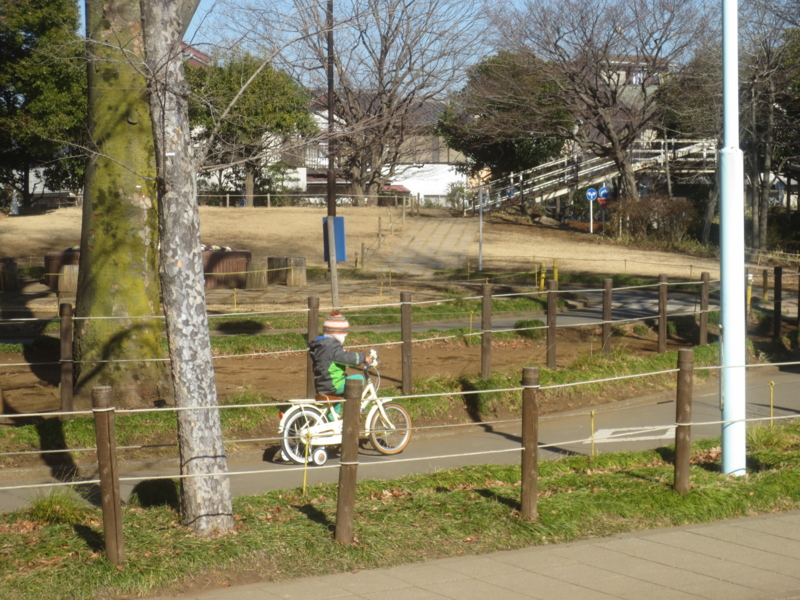 f:id:donkoro:20150114115750j:plain