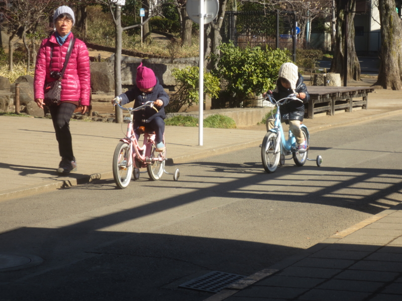 f:id:donkoro:20150114120125j:plain