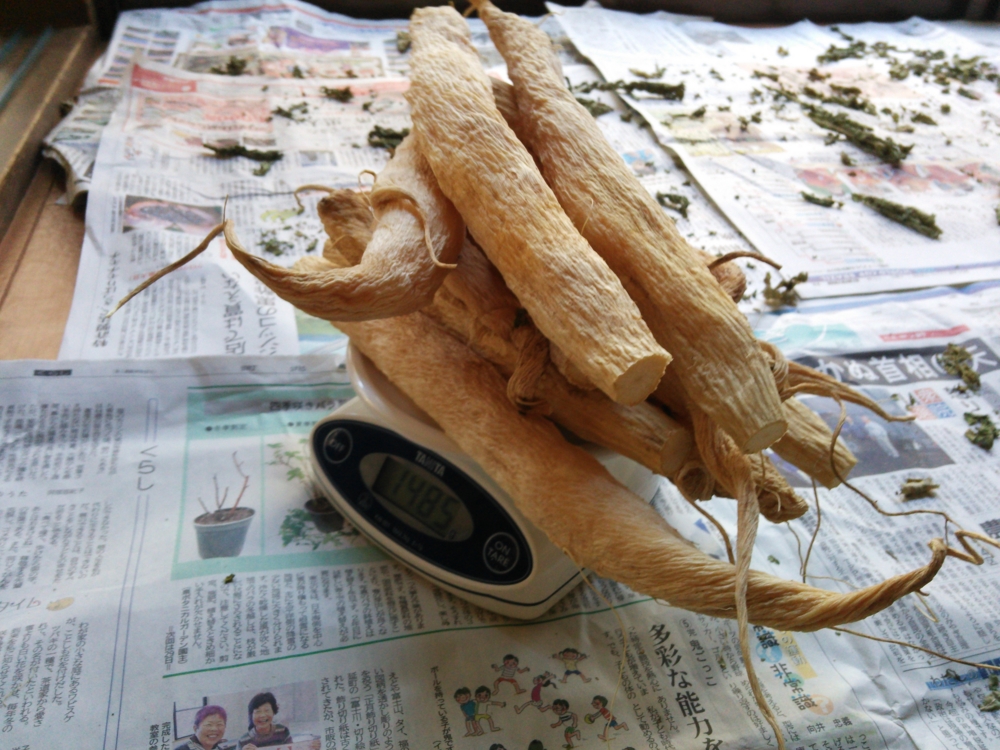 f:id:donkoro:20150119094150j:plain f:id:donkoro:20150119094150j:plain