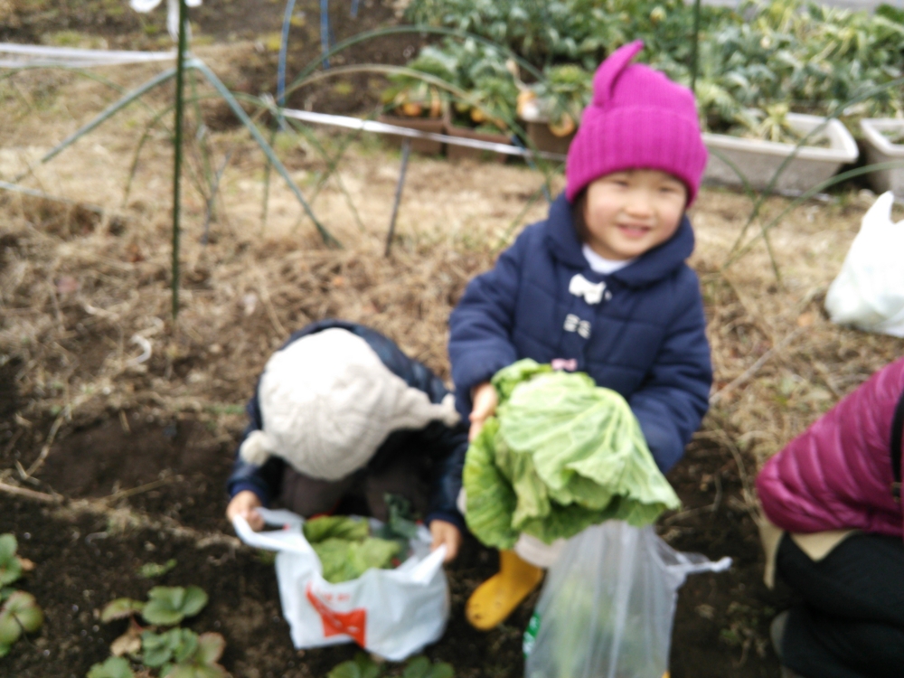 f:id:donkoro:20150126104246j:plain f:id:donkoro:20150126104246j:plain