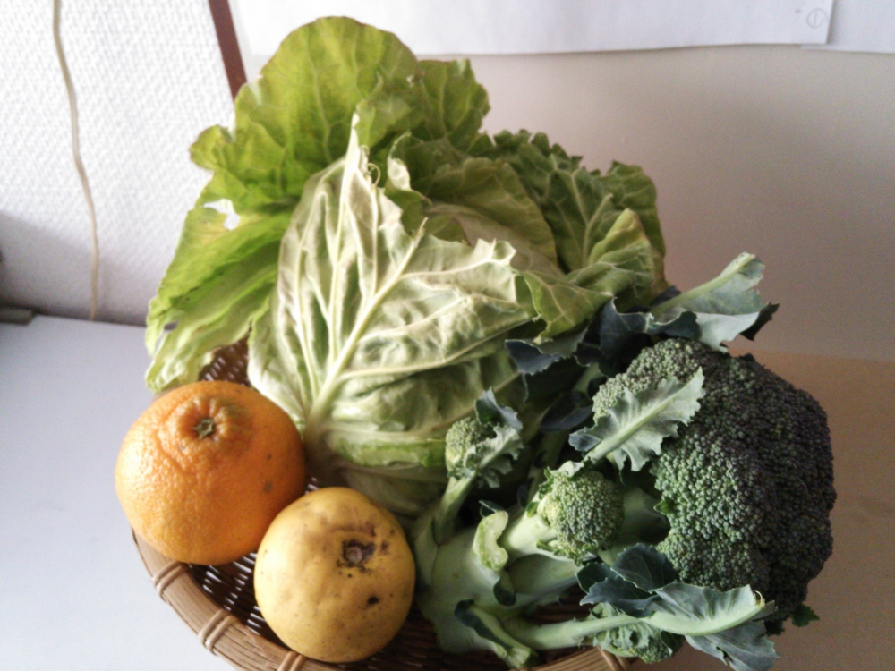 f:id:donkoro:20150126122025j:plain f:id:donkoro:20150126122025j:plain