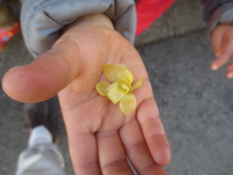 f:id:donkoro:20150128105218j:plain f:id:donkoro:20150128105218j:plain