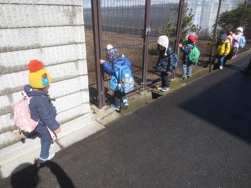 f:id:donkoro:20150219110337j:plain f:id:donkoro:20150219110337j:plain