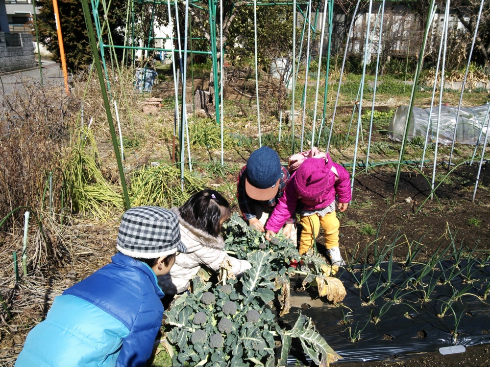 f:id:donkoro:20150302103510j:plain f:id:donkoro:20150302103510j:plain