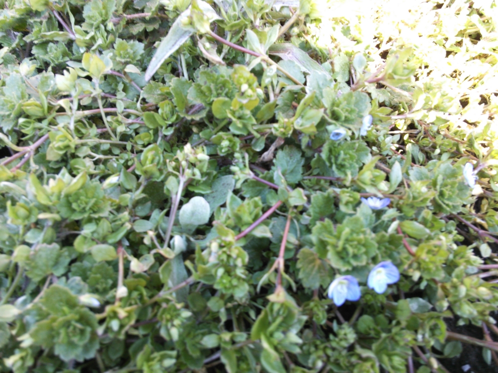 f:id:donkoro:20150302104509j:plain f:id:donkoro:20150302104509j:plain
