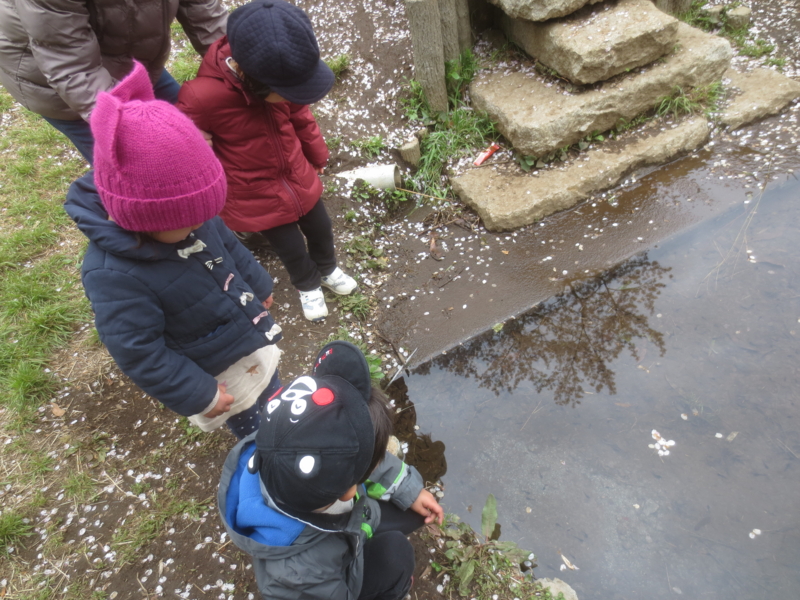 f:id:donkoro:20150410105013j:plain f:id:donkoro:20150410105013j:plain