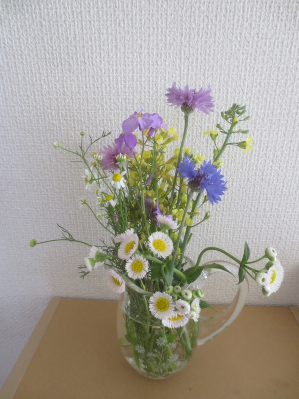 f:id:donkoro:20150427140940j:plain f:id:donkoro:20150427140940j:plain