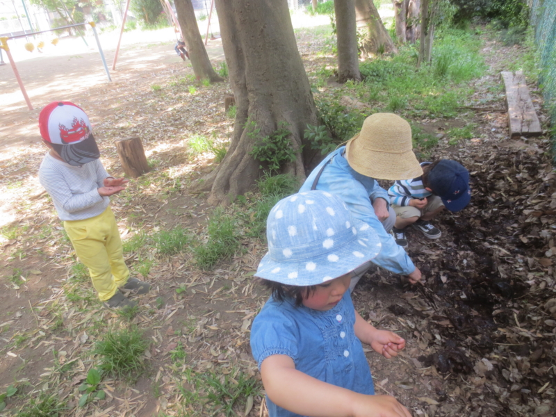 f:id:donkoro:20150428120222j:plain f:id:donkoro:20150428120222j:plain