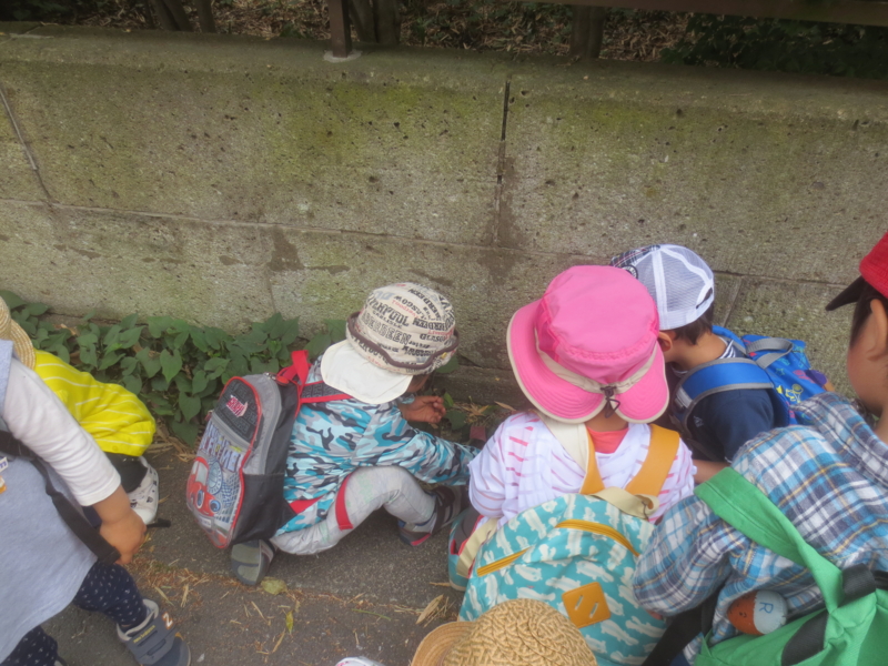 f:id:donkoro:20150430105758j:plain f:id:donkoro:20150430105758j:plain