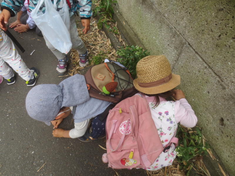 f:id:donkoro:20150430105942j:plain f:id:donkoro:20150430105942j:plain