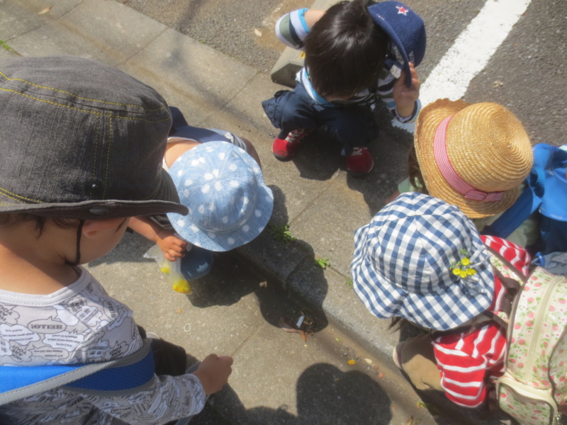 f:id:donkoro:20150501102627j:plain f:id:donkoro:20150501102627j:plain