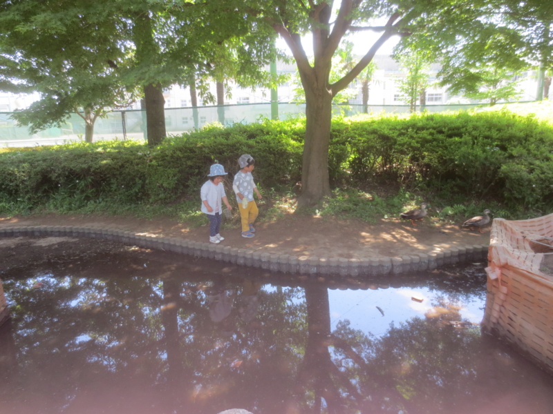 f:id:donkoro:20150511120122j:plain f:id:donkoro:20150511120122j:plain