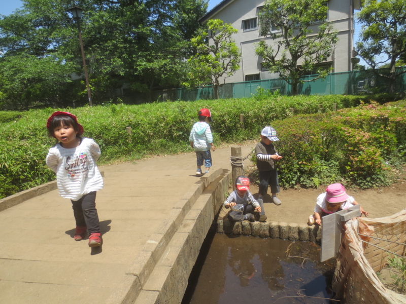 f:id:donkoro:20150511120151j:plain f:id:donkoro:20150511120151j:plain