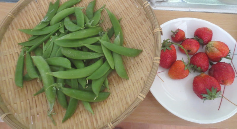 f:id:donkoro:20150511132922j:plain f:id:donkoro:20150511132922j:plain