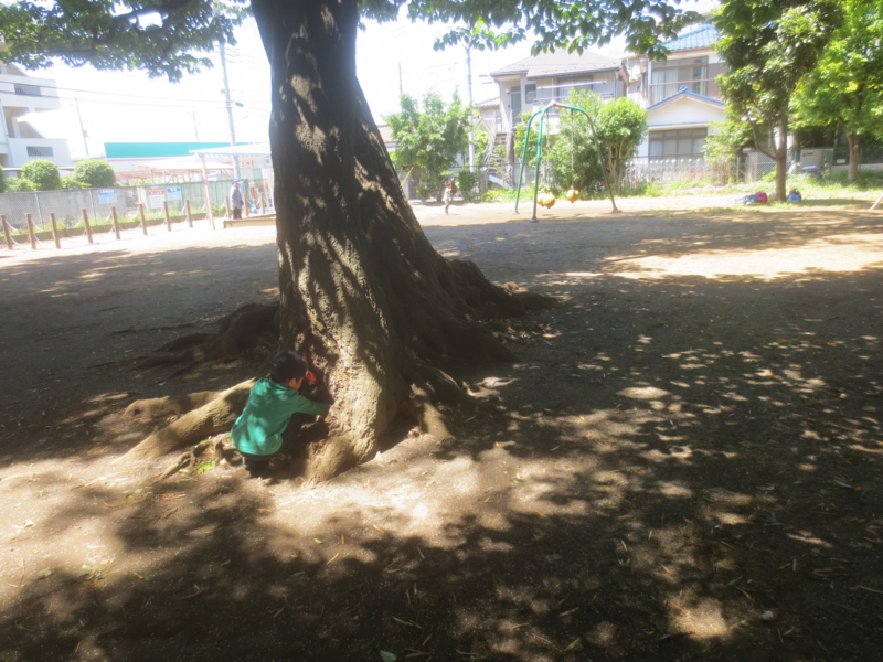 f:id:donkoro:20150513120028j:plain f:id:donkoro:20150513120028j:plain