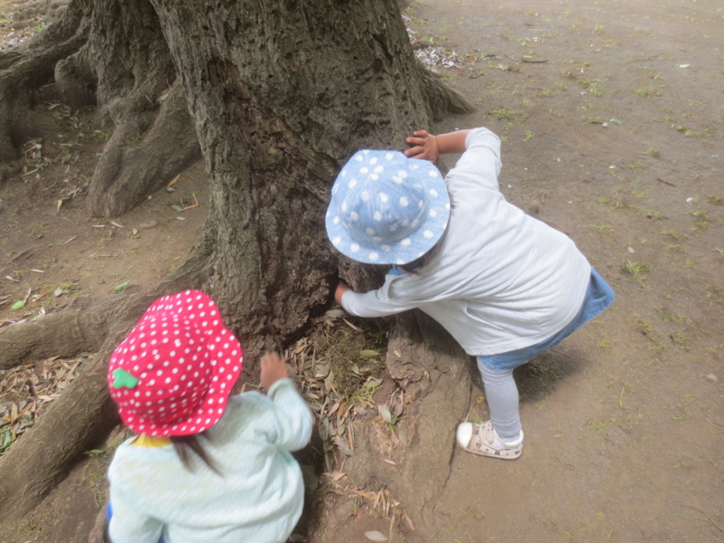 f:id:donkoro:20150518114630j:plain f:id:donkoro:20150518114630j:plain