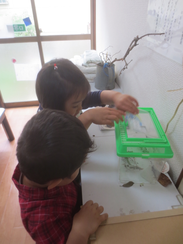 f:id:donkoro:20150519131126j:plain f:id:donkoro:20150519131126j:plain