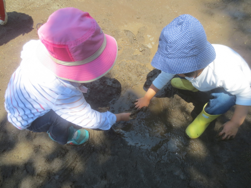 f:id:donkoro:20150521113056j:plain f:id:donkoro:20150521113056j:plain