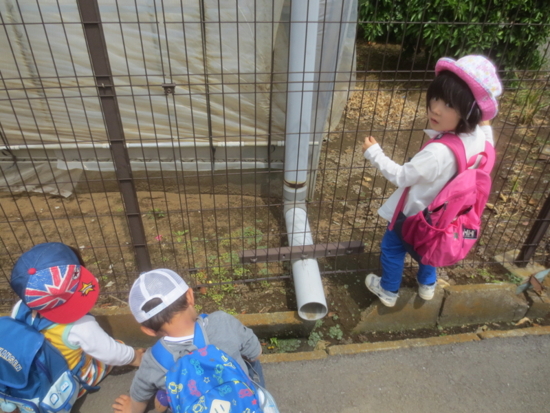 f:id:donkoro:20150522103022j:plain f:id:donkoro:20150522103022j:plain