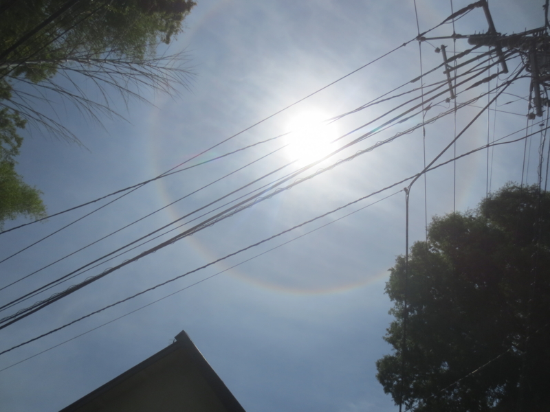 f:id:donkoro:20150522110105j:plain f:id:donkoro:20150522110105j:plain