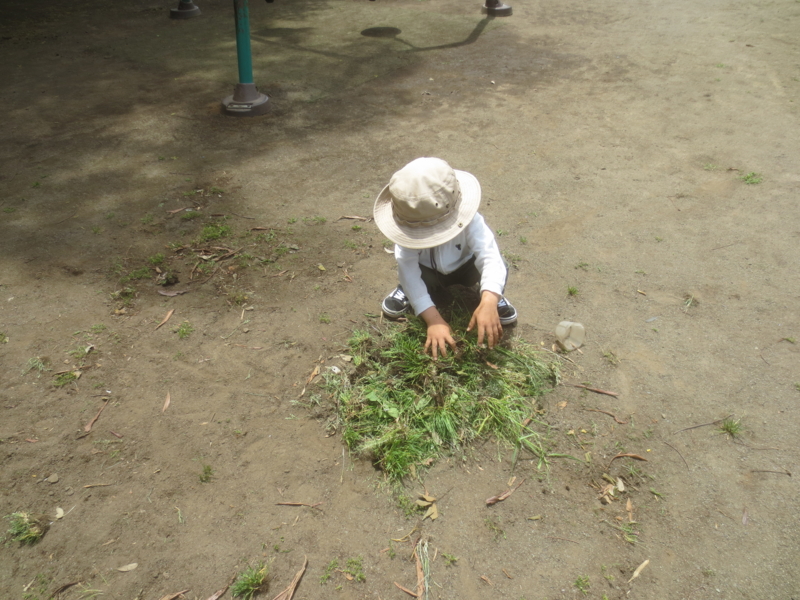 f:id:donkoro:20150522113937j:plain f:id:donkoro:20150522113937j:plain