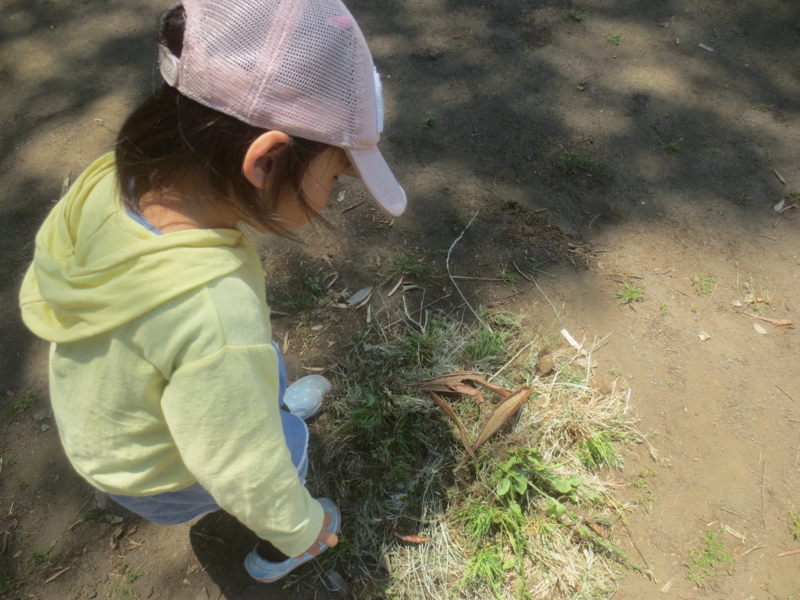 f:id:donkoro:20150526112257j:plain f:id:donkoro:20150526112257j:plain