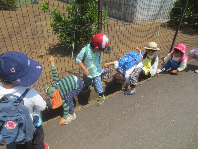 f:id:donkoro:20150527103103j:plain f:id:donkoro:20150527103103j:plain