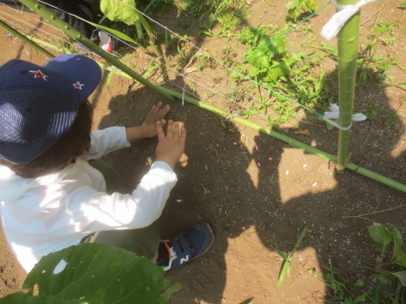 f:id:donkoro:20150601104258j:plain f:id:donkoro:20150601104258j:plain