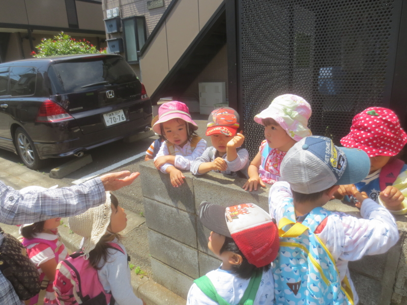 f:id:donkoro:20150602102525j:plain f:id:donkoro:20150602102525j:plain