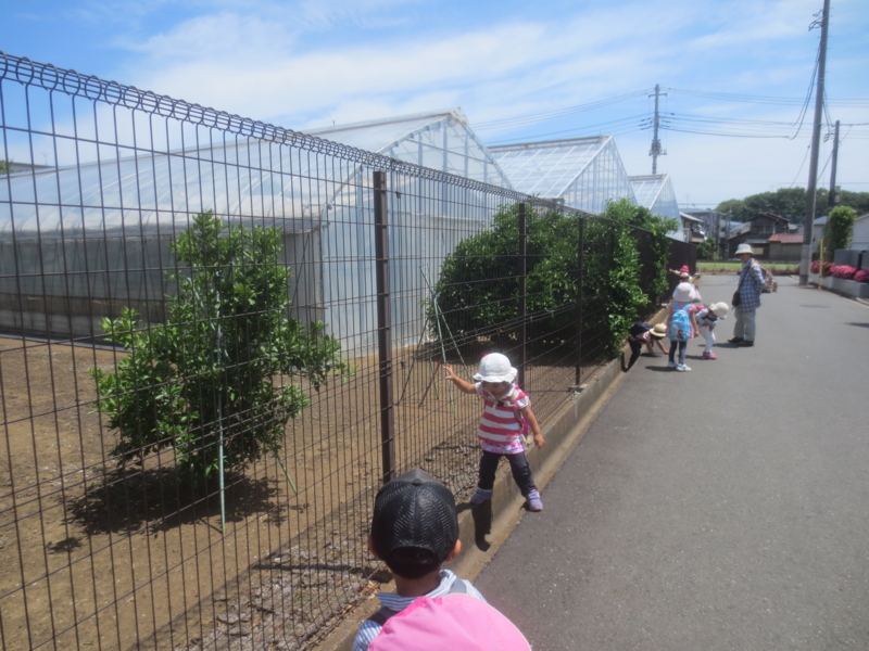 f:id:donkoro:20150602103716j:plain f:id:donkoro:20150602103716j:plain