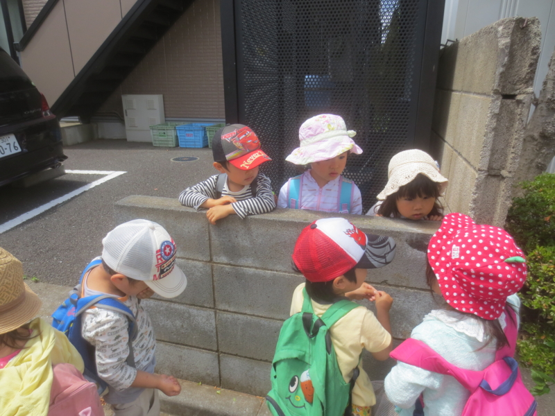 f:id:donkoro:20150604103521j:plain f:id:donkoro:20150604103521j:plain